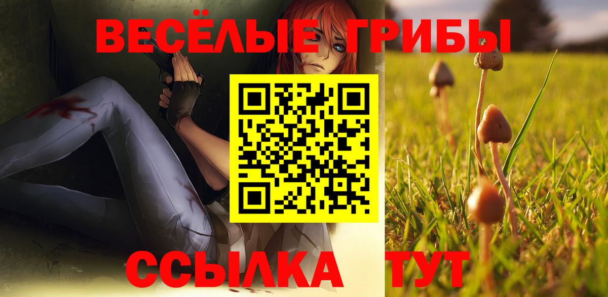 Псилоцибиновые грибы Psilocybe Каменка