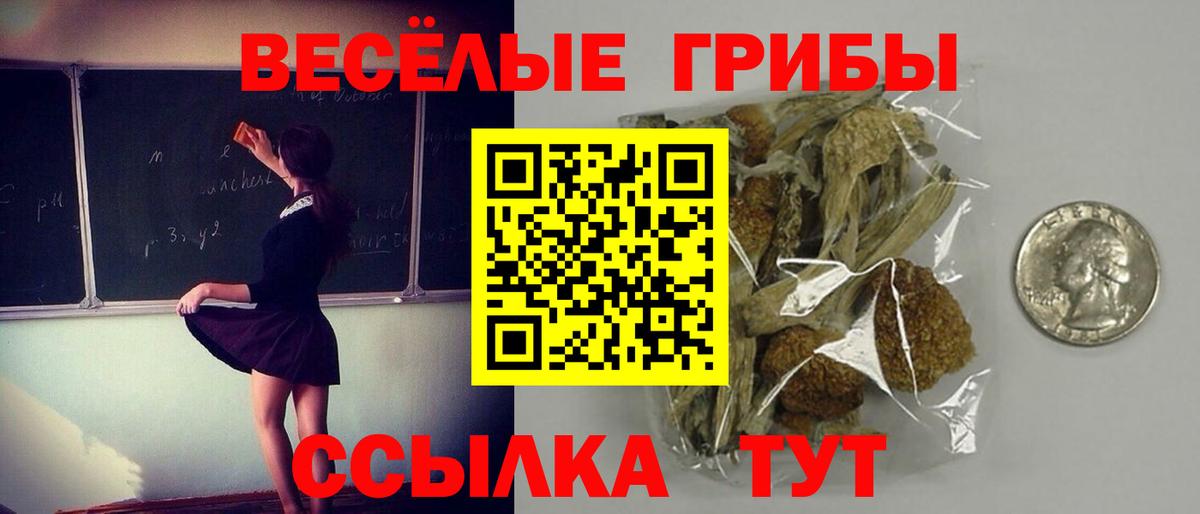 Галлюциногенные грибы мухоморы  Вход с VPN  Каменка  Галлюциногенные грибы GOLDEN TEACHER 